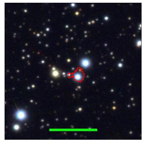 1481_059.0_contour_y