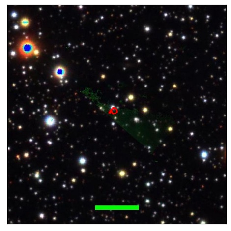 1484_013.0_contour_i