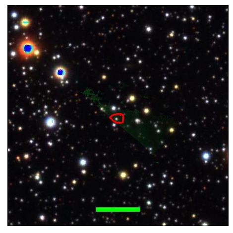 1484_013.0_contour_r