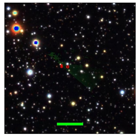 1484_013.0_contour_y