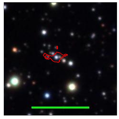 1484_021.0_contour_r