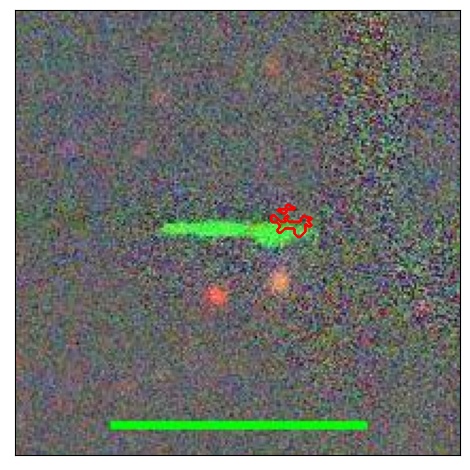 1497_018.0_contour_g