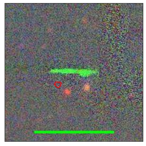 1497_018.0_contour_i