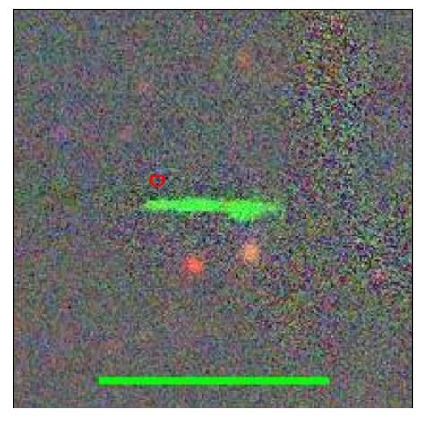 1497_018.0_contour_y