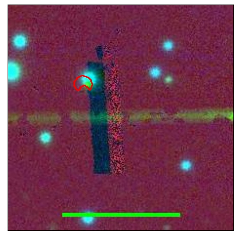 1529_013.0_contour_g