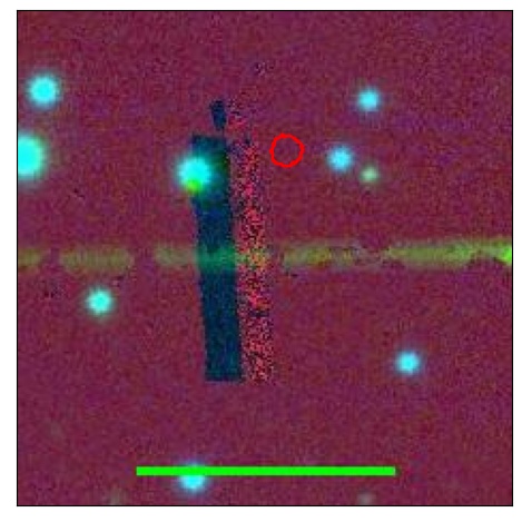 1529_013.0_contour_y