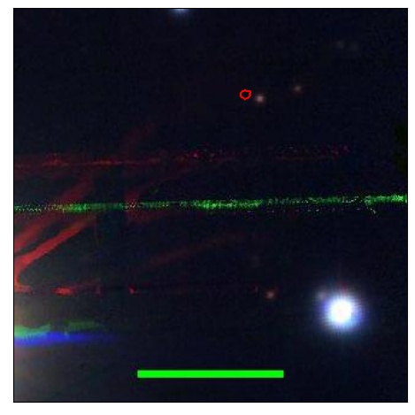 1532_035.0_contour_g