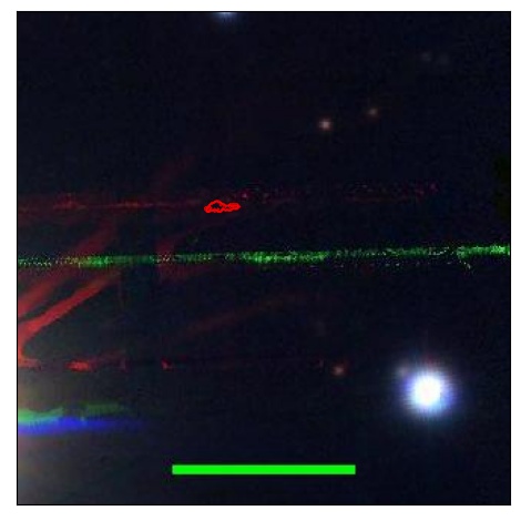 1532_035.0_contour_i