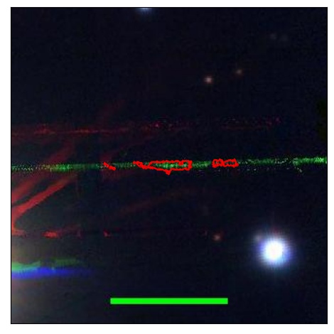 1532_035.0_contour_r