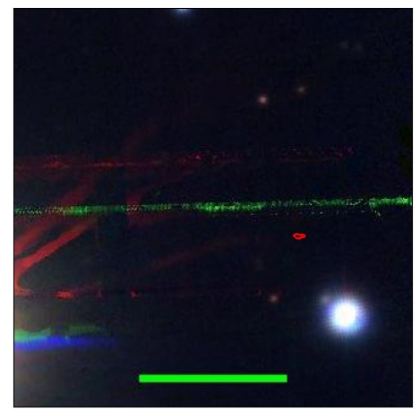 1532_035.0_contour_y