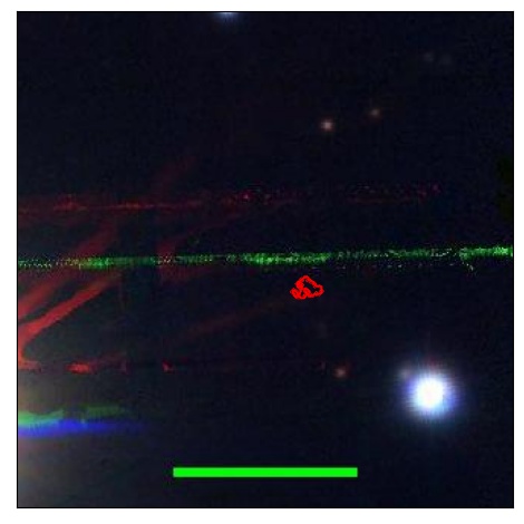 1532_035.0_contour_z