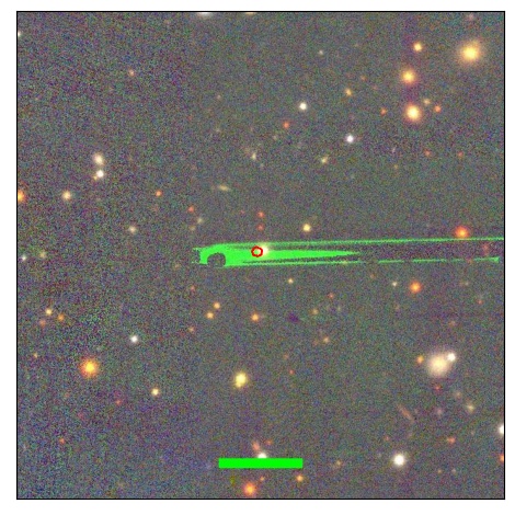 1563_049.0_contour_y