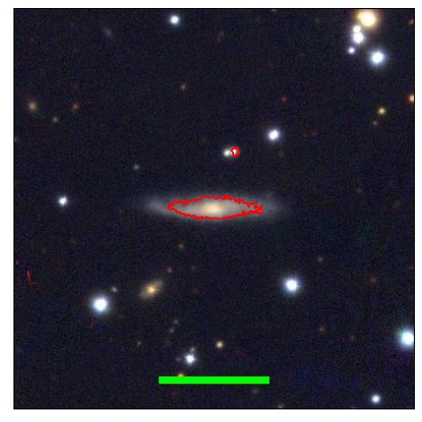 1565_050.0_contour_y