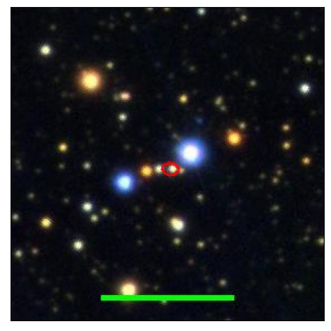 1571_051.0_contour_r