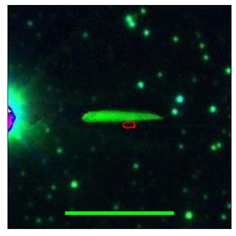 1572_067.0_contour_y