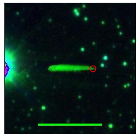 1572_067.0_contour_z