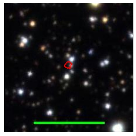 1573_014.1_contour_y