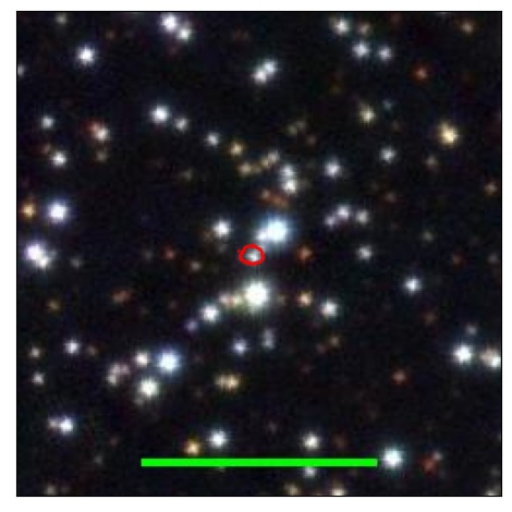 1574_008.0_contour_r