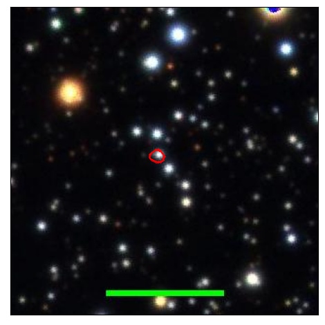 1574_009.0_contour_y