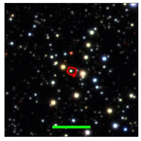 1574_098.1_contour_r