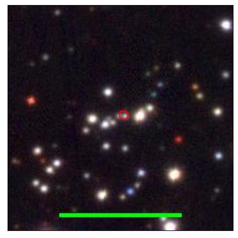 1575_096.1_contour_r