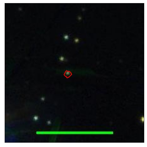 1577_043.0_contour_i