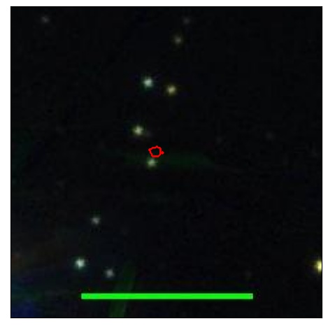 1577_043.0_contour_y