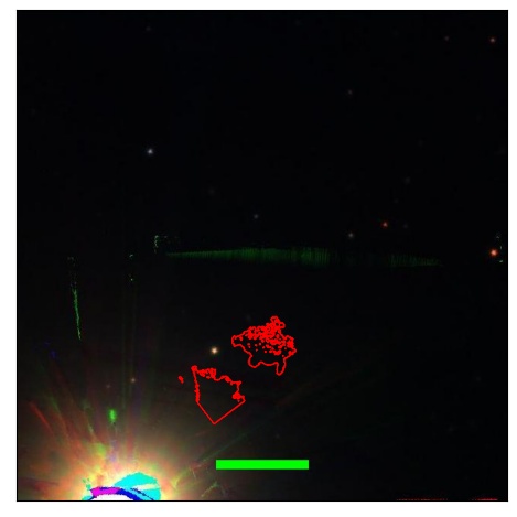 1584_021.0_contour_y