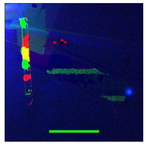 1594_092.0_contour_g