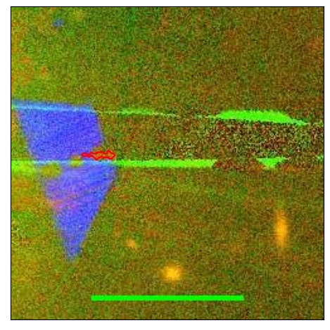 1596_005.0_contour_i