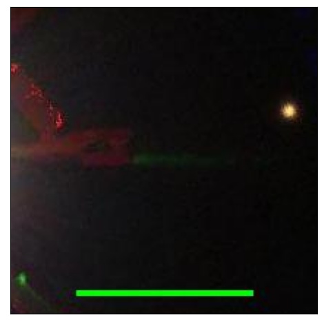 1597_001.0_contour_i