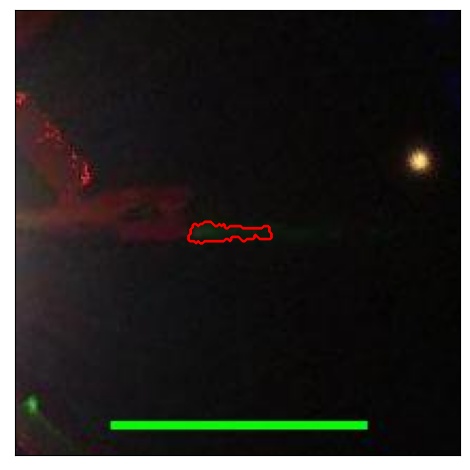 1597_001.0_contour_r