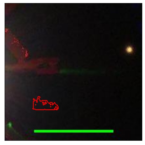 1597_001.0_contour_y