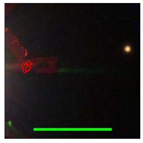 1597_001.0_contour_z