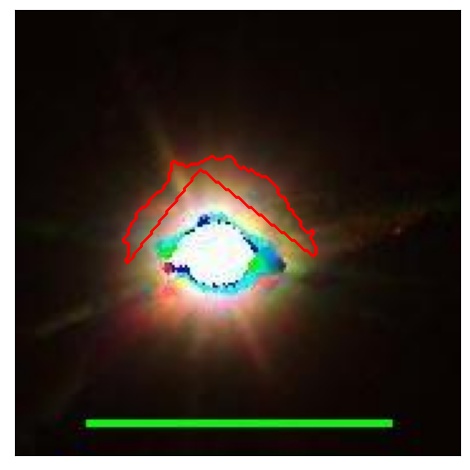 1597_067.1_contour_r