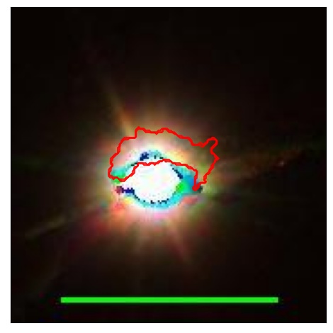 1597_067.1_contour_z