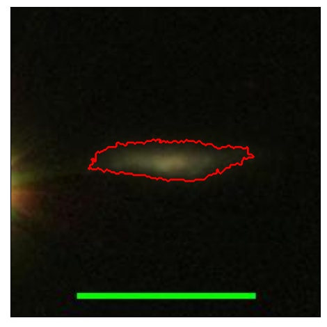 1597_076.0_contour_g