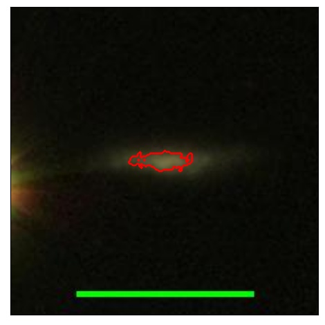 1597_076.0_contour_y