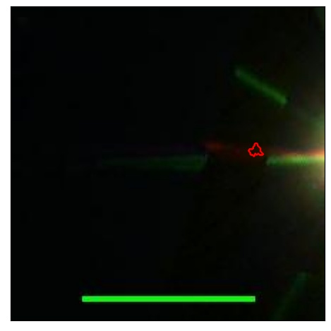 1600_058.0_contour_z