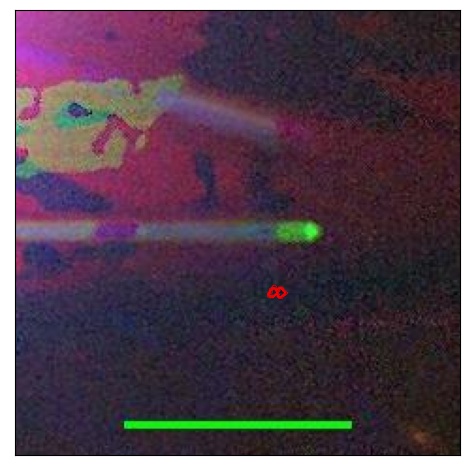 1600_070.0_contour_y