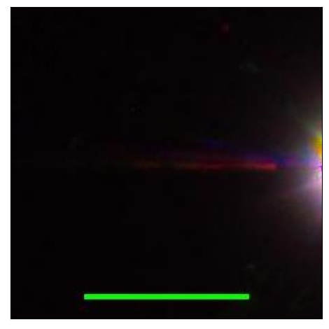 1605_047.0_contour_g