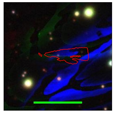 1615_023.0_contour_g