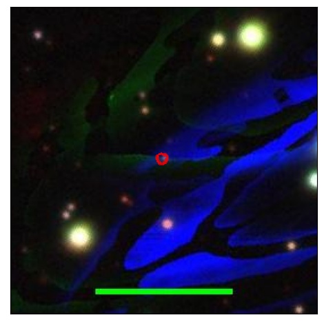 1615_023.0_contour_i