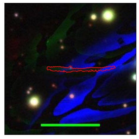 1615_023.0_contour_r