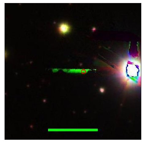 1615_024.0_contour_g