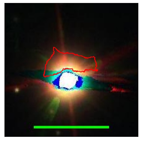 1620_025.0_contour_i