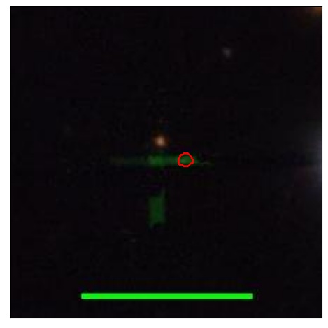 1622_004.0_contour_z