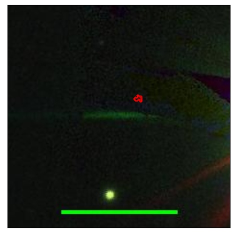 1628_091.0_contour_g