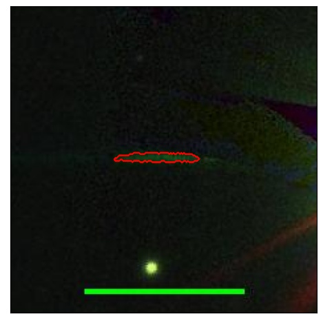 1628_091.0_contour_r