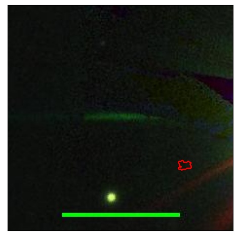 1628_091.0_contour_y